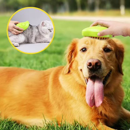 2pcs Pet Brush for Massage and Grooming