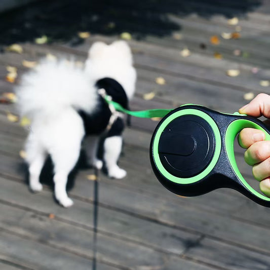 Automatic Retractable Pet Leash with Lock